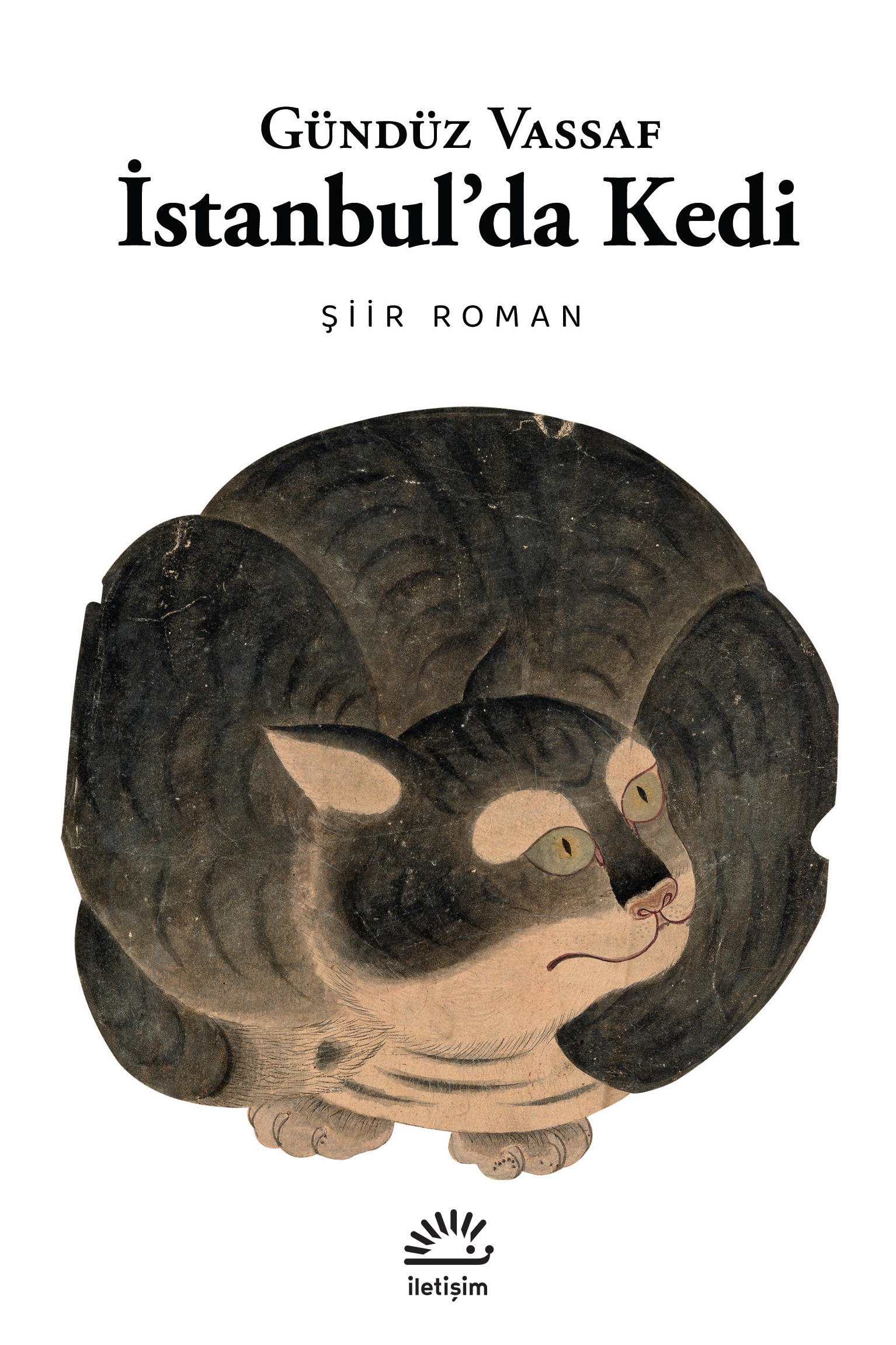 İstanbul'da Kedi Şiir Roman