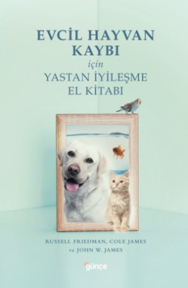 Resim Evcil Hayvan Kaybı İçin Yastan İyileşme